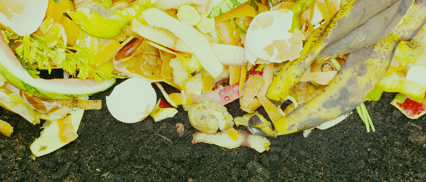 O lixo orgânico | Brasil Coleta