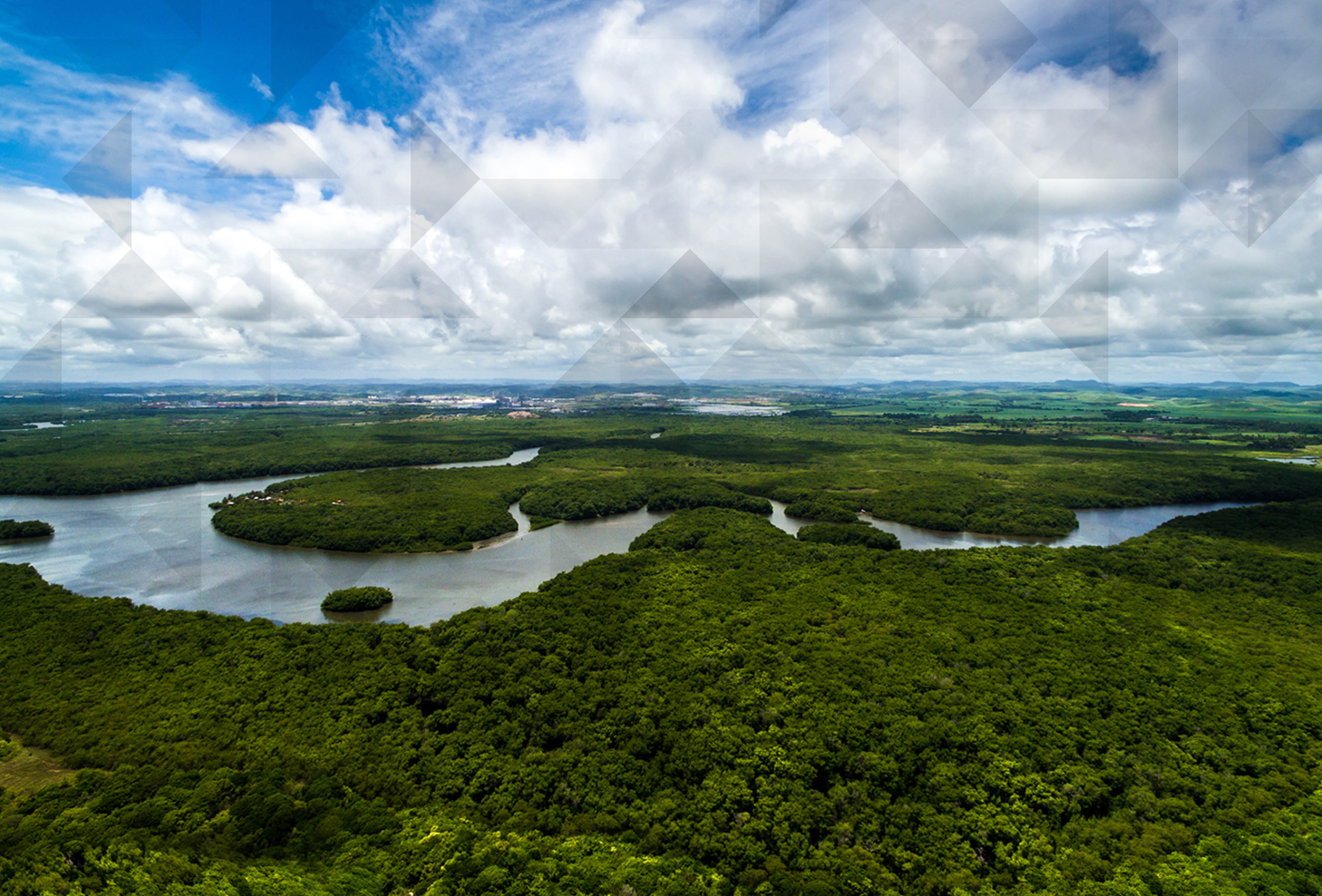 Por Que é Importante Preservar A Floresta Amazônica Edubrainaz 